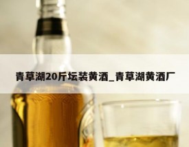 青草湖20斤坛装黄酒_青草湖黄酒厂